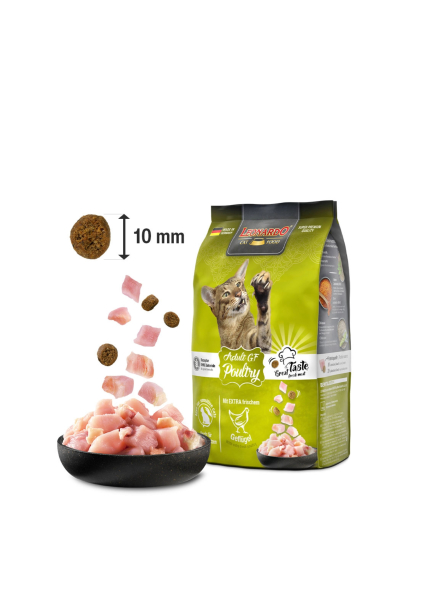 Leonardo - Adult GF Poultry